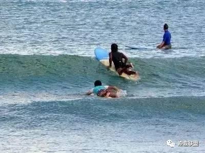 光大期货:1月23日矿钢煤焦日报